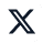 X (Twitter)